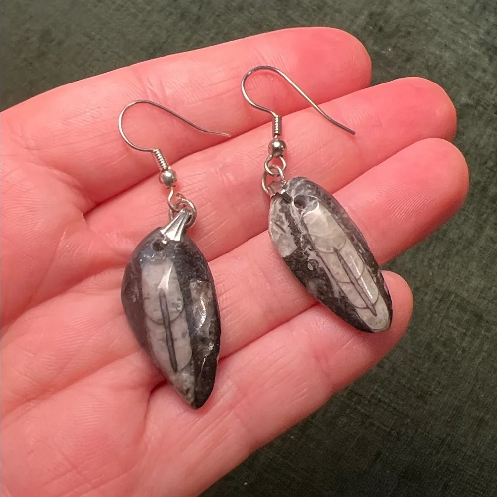 Othoceras Fossil Claw Style Silver Tone Dangle Earrings